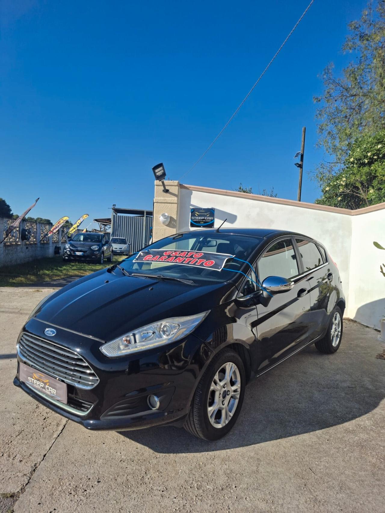 Ford Fiesta 1.4 5 porte Bz.- GPL Black & White Edition