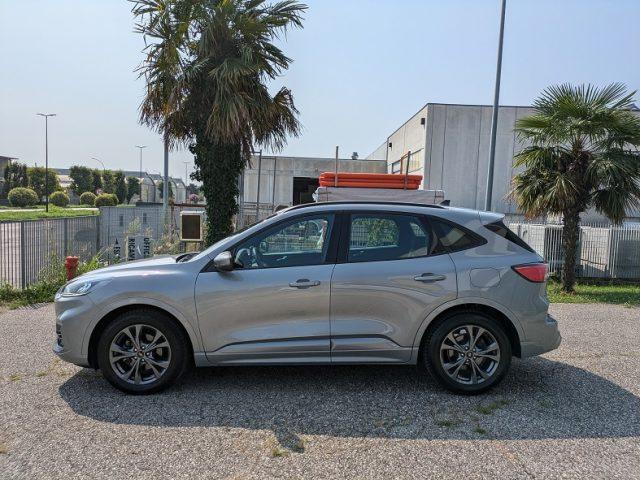 FORD Kuga 1.5 EcoBlue 120 CV aut. ST-Line