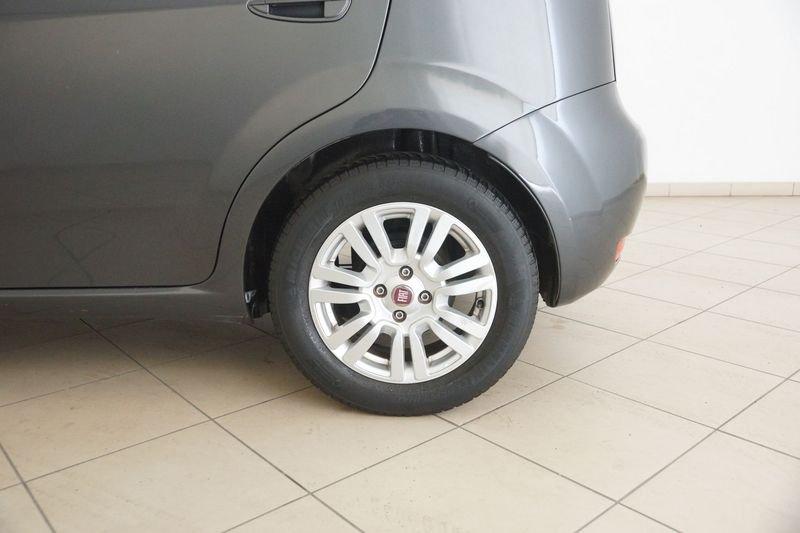 FIAT Punto Punto 1.2 8V 5 porte Lounge