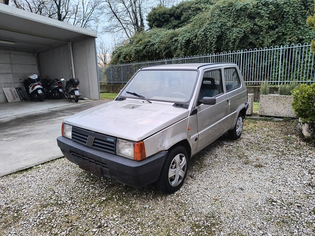 Fiat Panda 1100 i.e. cat Young