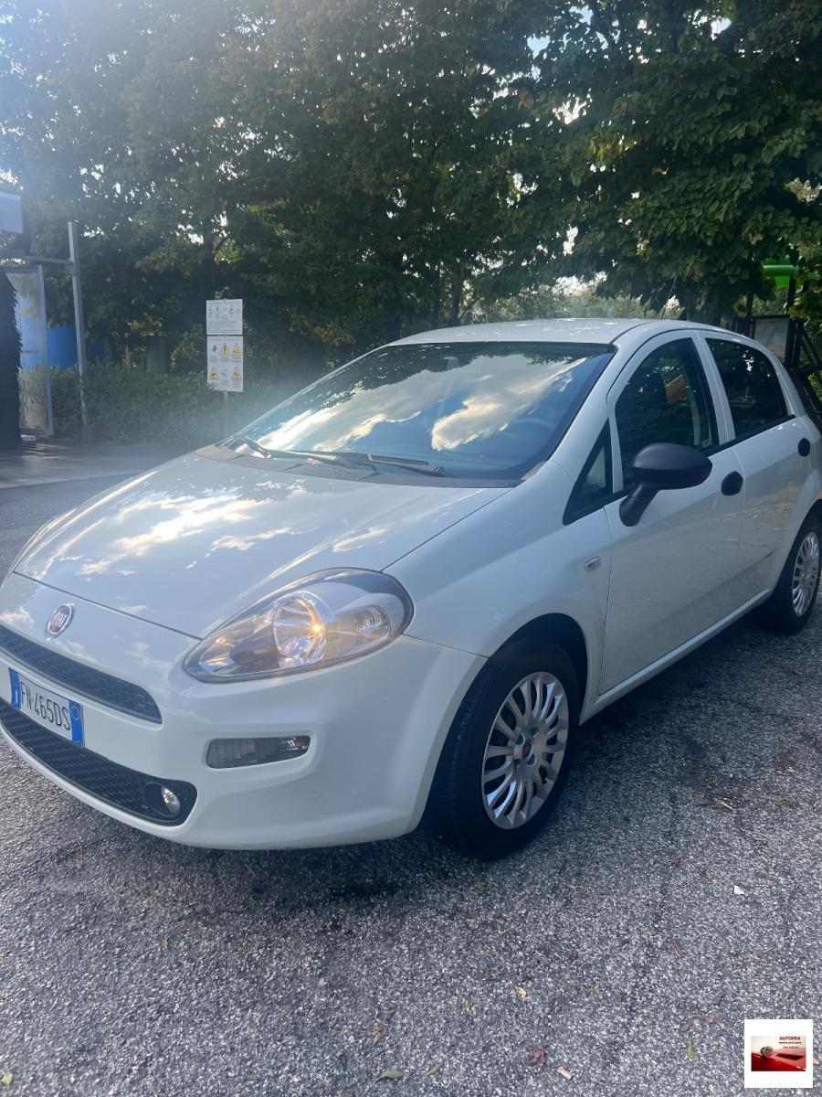 FIAT - Punto - 1.3 MJT II S&S 95 CV 5p. Street