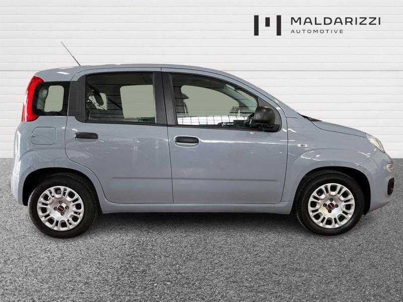 FIAT Panda III 2021 1.0 firefly hybrid s&s 70cv