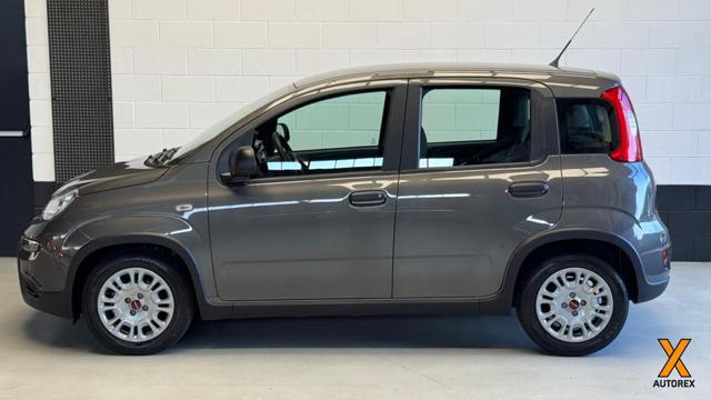 FIAT Panda 1.0 FireFly S&S Hybrid per neopatentati