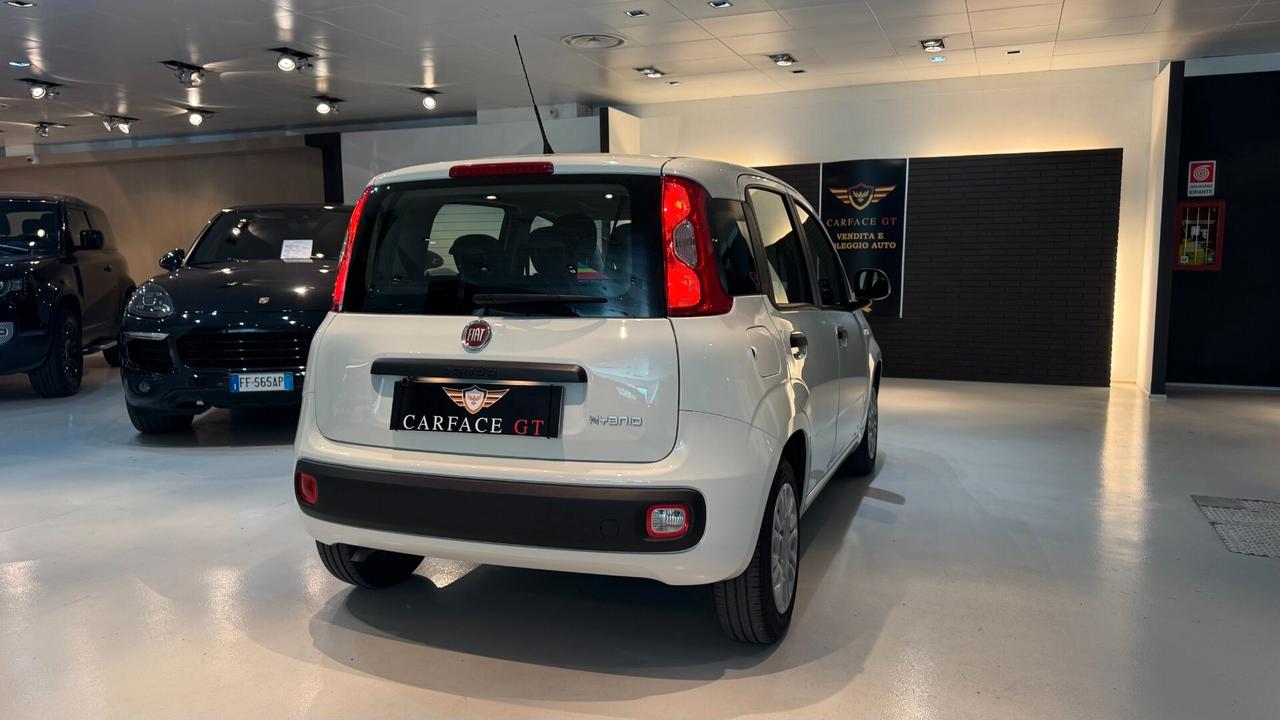FIAT PANDA 1.0 70CV - 2022