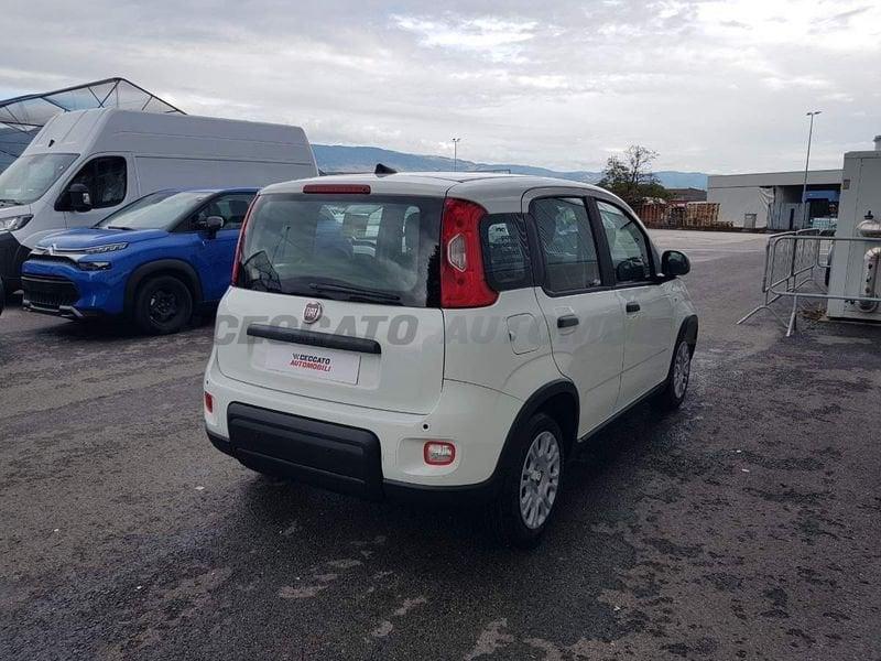 FIAT Panda Panda 1.0 70cv Hybrid Panda