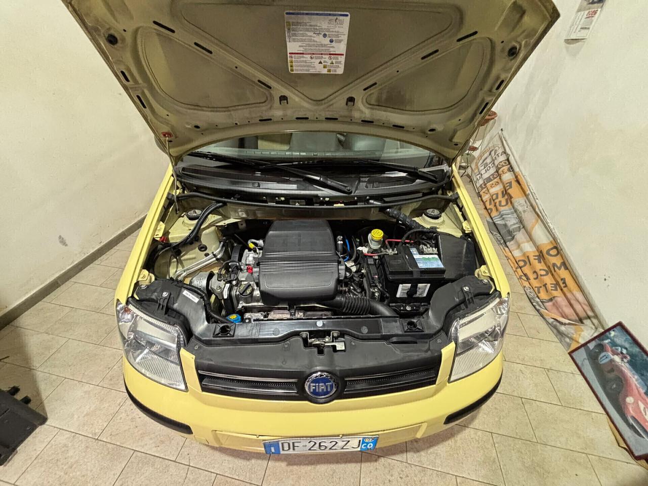 Fiat Panda 1.2 dynamic NEOPATENTATI FINANZIABILE