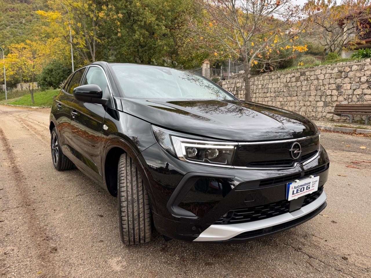 Opel Grandland 1.5 diesel Ecotec aut. Business Elegance