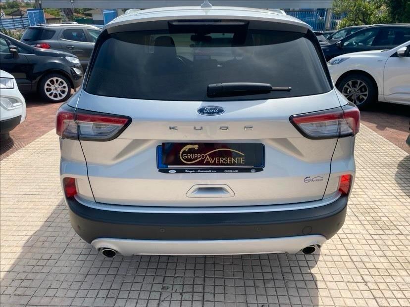Ford Kuga 1.5 EcoBlue 120 CV 2WD Titanium