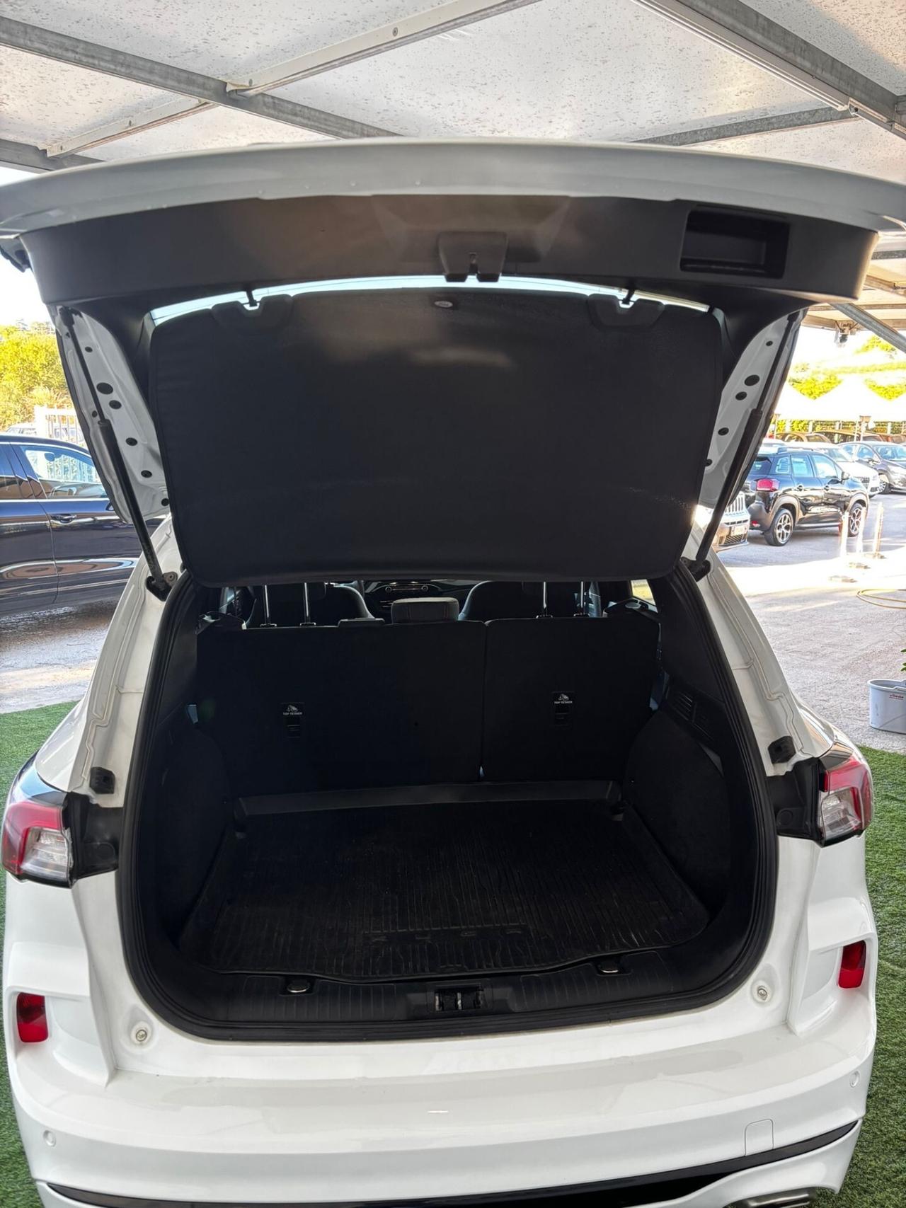Ford Kuga 1.5 EcoBlue 120 CV 2WD ST-Line
