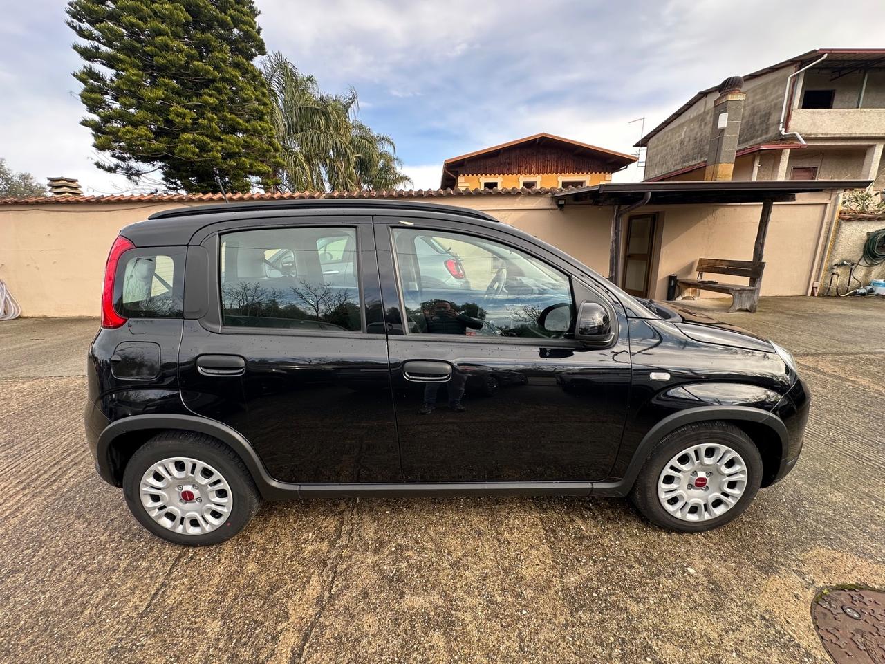 Fiat Panda 1.0 FireFly S&S Hybrid