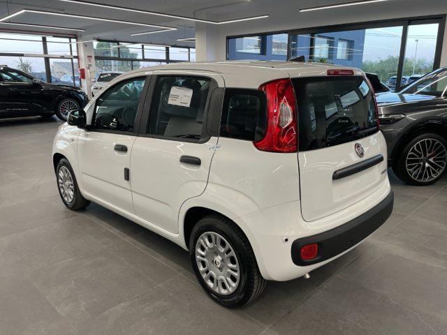 FIAT Pandina 1.0 Hybrid Icon KM0 MY26