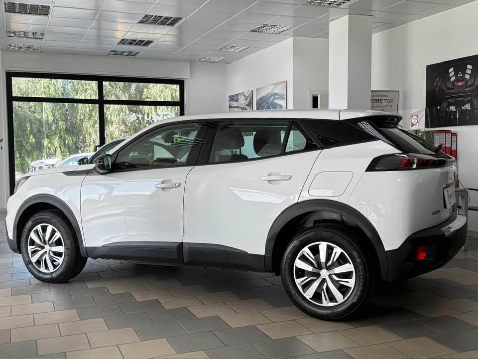 Peugeot 2008 BlueHDi 110 S&S Active