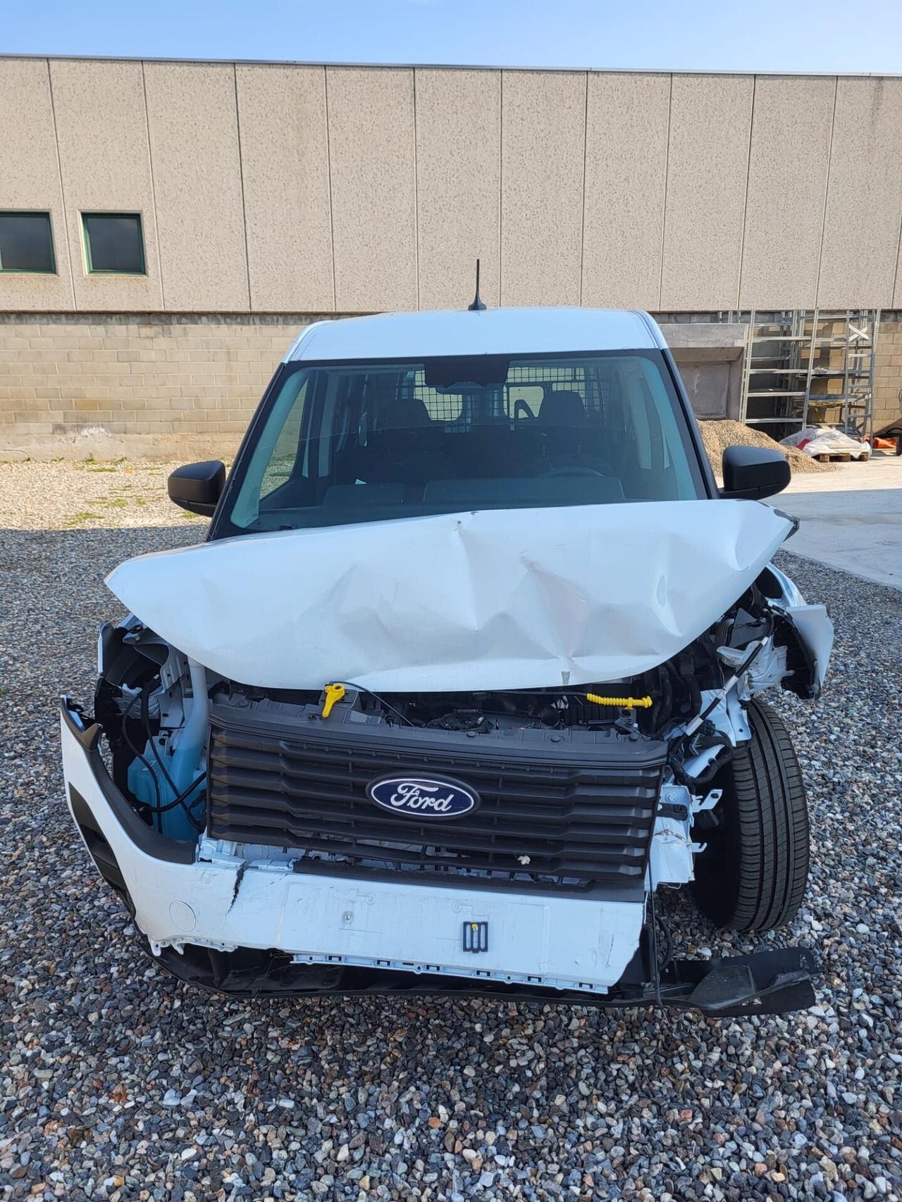 Ford Courier 1.0 EcoBoost 125CV aut. Van DC Trend