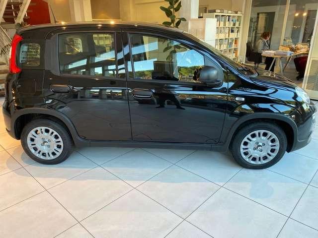 Fiat Panda Panda 1.0 firefly hybrid s