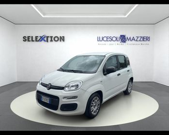 FIAT Panda 3ª serie - Panda 1.0 FireFly S&S Hybrid
