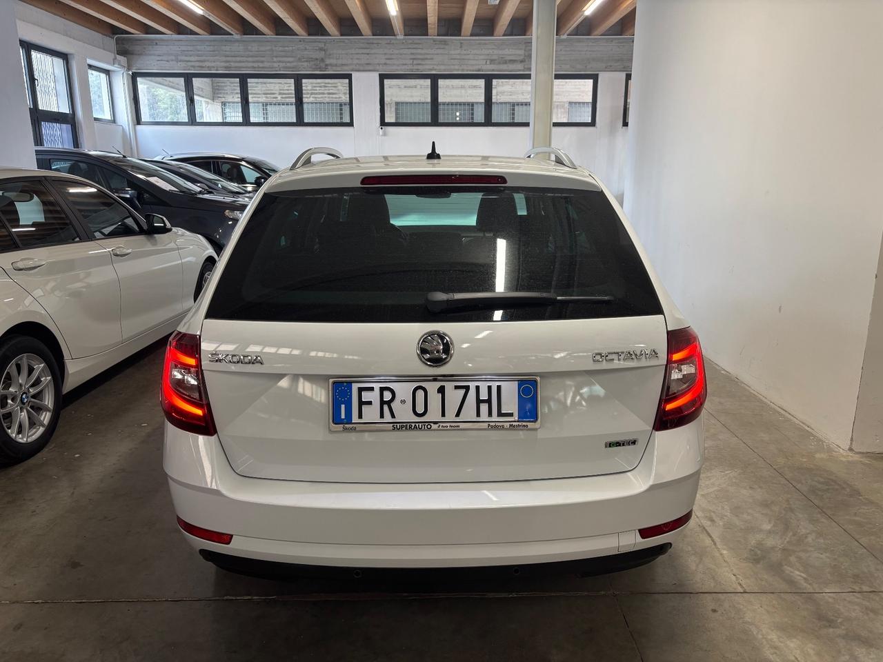 Skoda Octavia 1.4 TSI METANO AUT. |alcantara/pelle|
