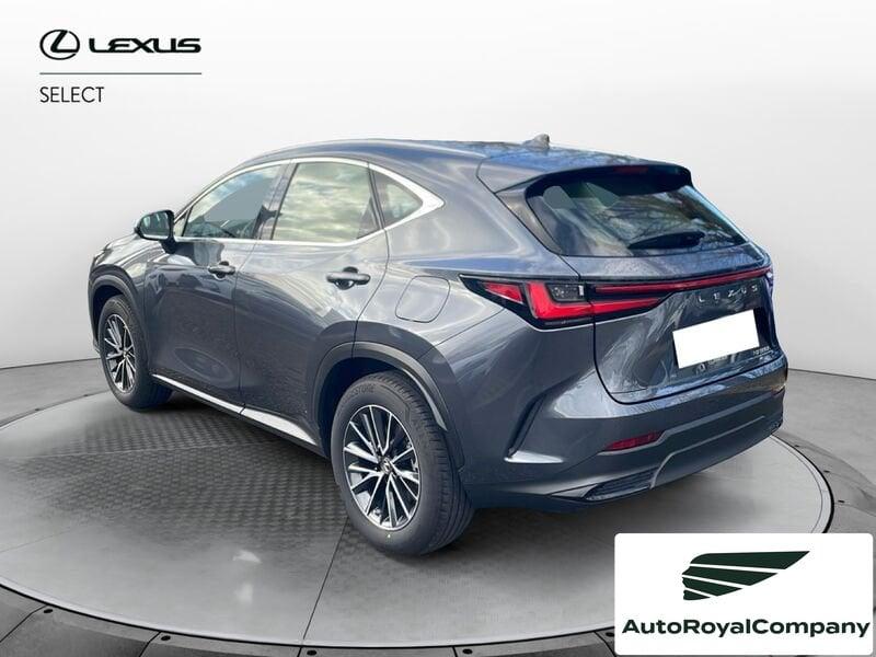 Lexus NX Hybrid Business+ 4WD IVA ESPOSTA KM 13900