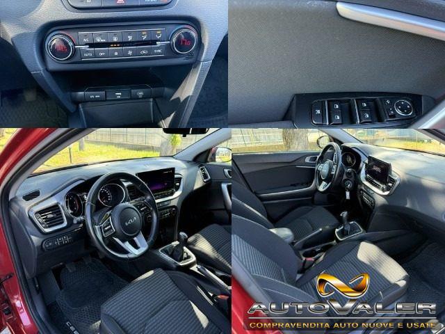 KIA Ceed 1.6 CRDi 136 CV MHEV SW Business
