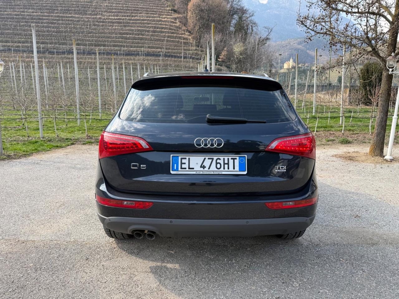 Audi Q5 2.0 TDI 170 CV quattro S tronic Advanced Plus