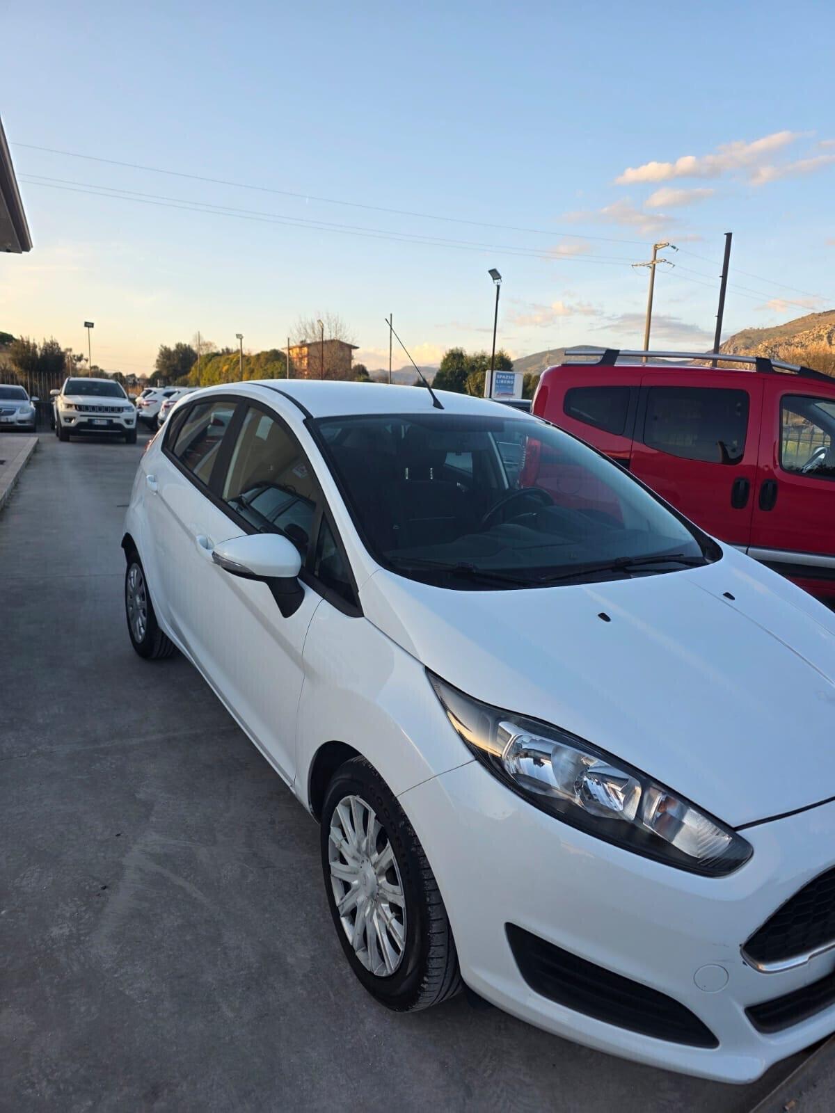 Ford Fiesta 1.4 5 porte Bz.- GPL Black & White Edition garantita 12 mesi