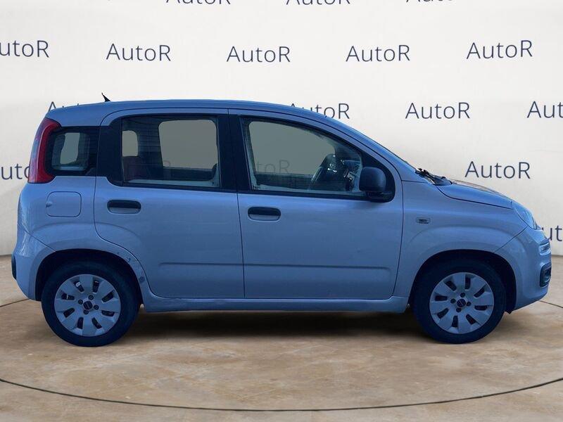 FIAT Panda Panda 1.2 Pop