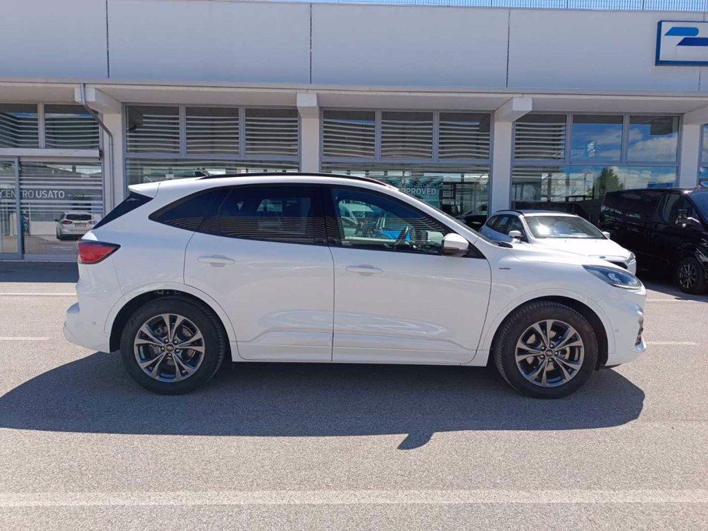 FORD Kuga 1.5 ecoblue ST-Line 2wd 120cv del 2021