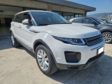 Land Rover Range Evoque 2.0 TD4 150 CV 5p. Business Edition Pure