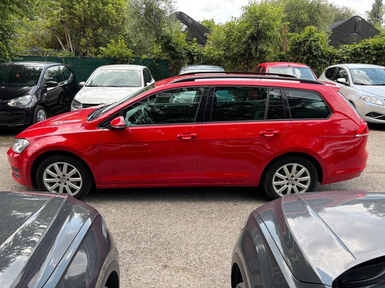 Volkswagen Golf Variant 1.6 TDI 90 CV 5p. OK Neopatentati