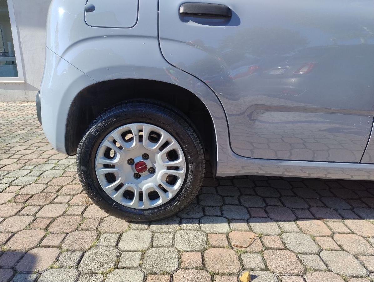 FIAT - Panda - 1.2 Easy