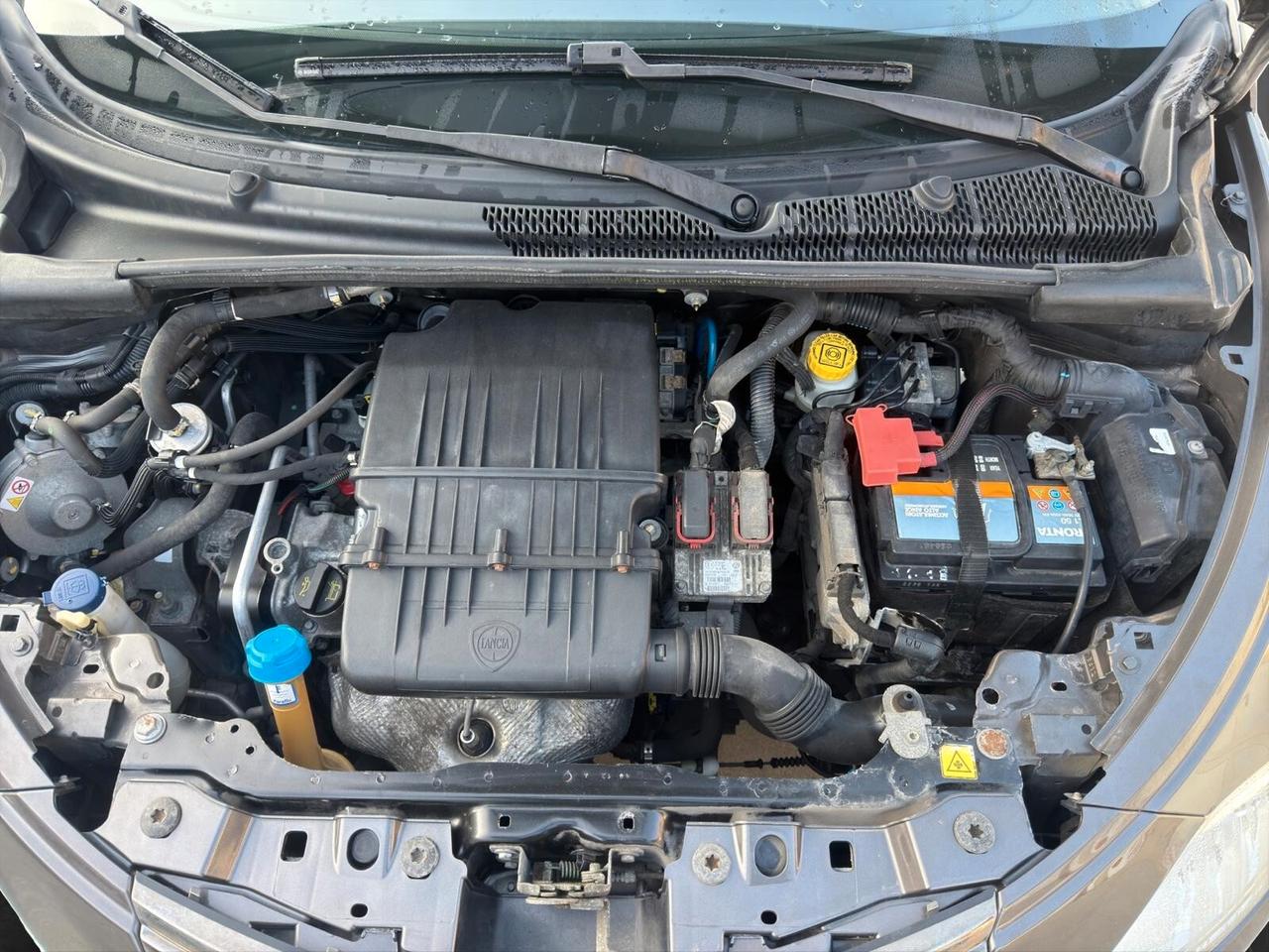 Lancia Ypsilon 1.2 69cv GPL Ecochic Gold