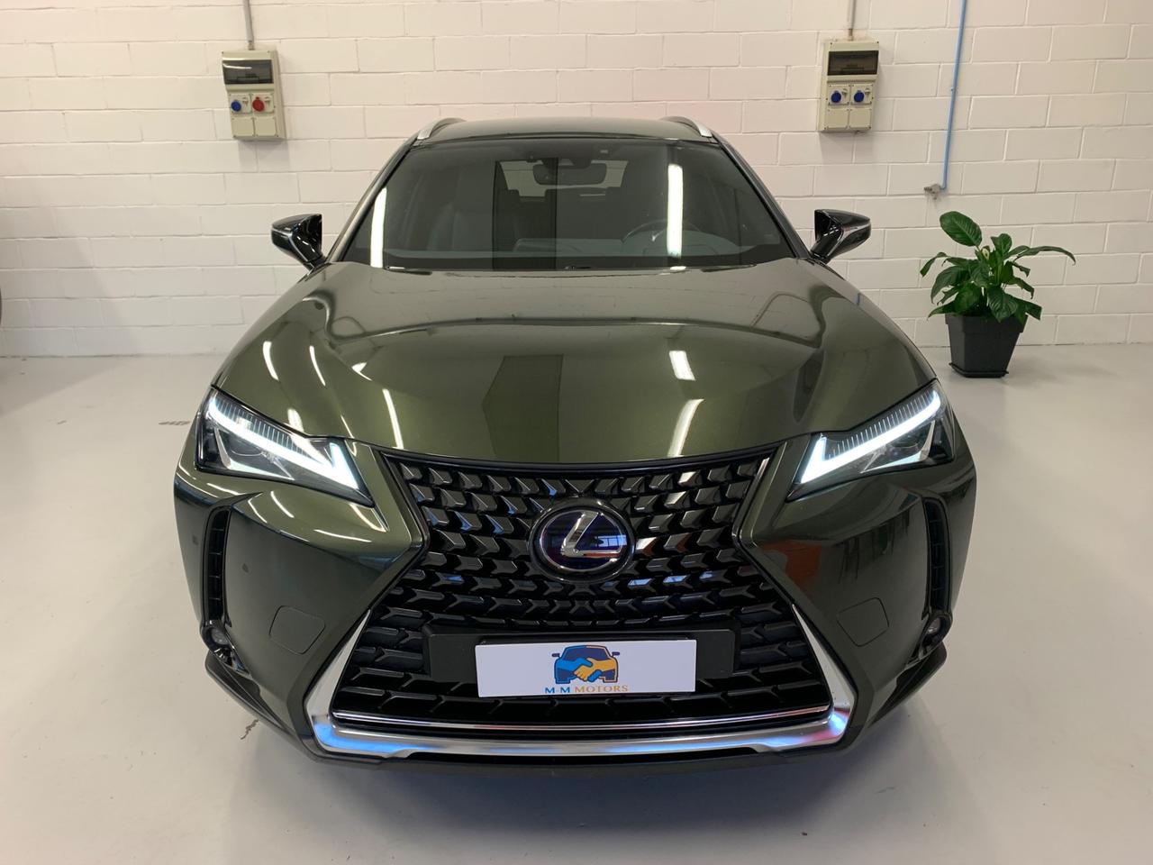 Lexus UX Hybrid 4WD Luxury 2.0 CV 184
