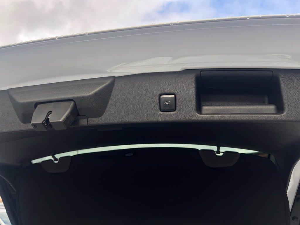 FORD Kuga 2.5 Plug In Hybrid 225 CV CVT 2WD ST-Line X del 2023