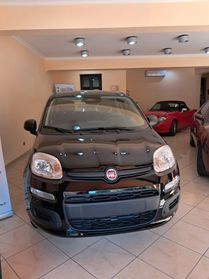 Fiat Panda 1.0 FireFly S&S Hybrid Pandina