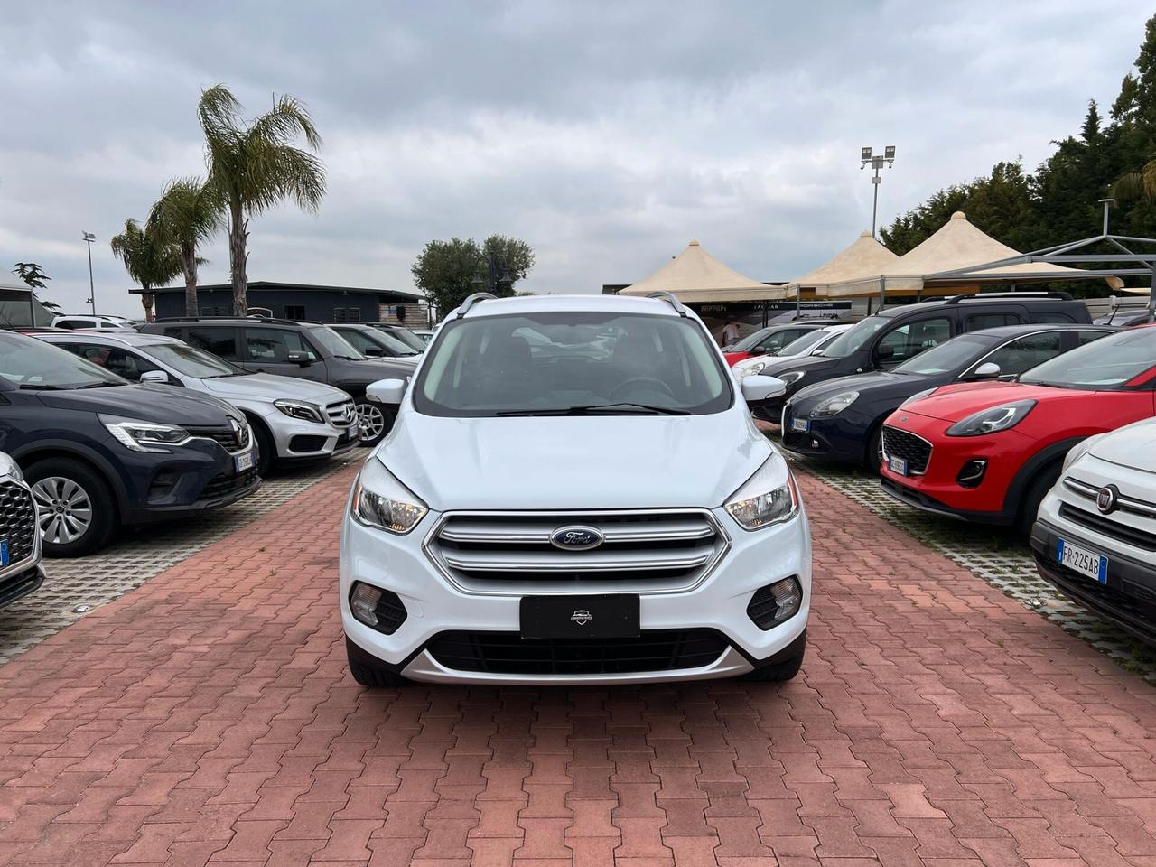 Ford Kuga 1.5 TDCI 120 CV S&S 2WD Titanium