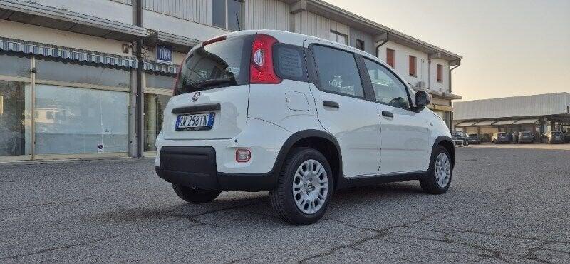 FIAT Panda Panda 1.0 FireFly S&S Hybrid