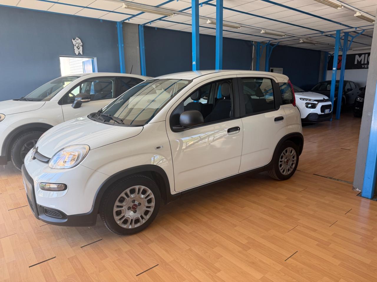 Fiat Panda 1.0 benz/ibrida 2023 Nuova