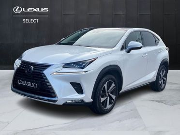Lexus NX NX 300h 2.5 Luxury 4wd cvt IVA ESPOSTA