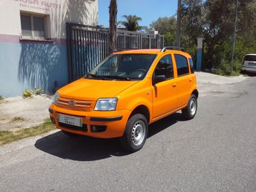 Fiat Panda 1.3 Multijet 4x4 Van 2 Posti Anno 2009