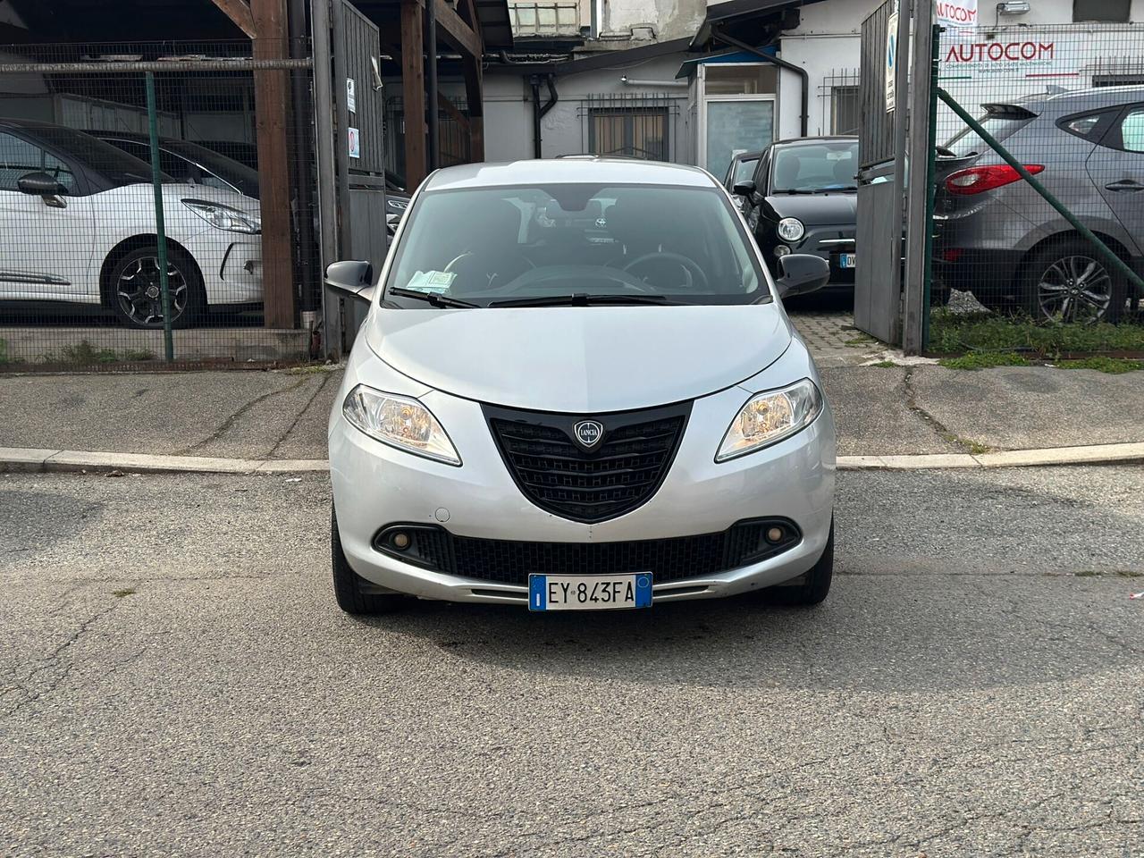 Lancia Ypsilon 1.2 69 CV 5 porte Elefantino
