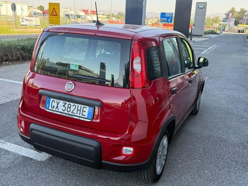 FIAT Panda NEW 1.0 70cv Hybrid PANDA