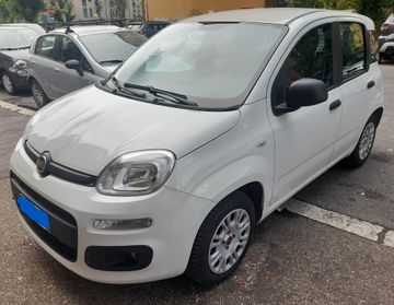 Fiat panda 1.2 CV69 euro6 Anno 2019 neopatentati permuta