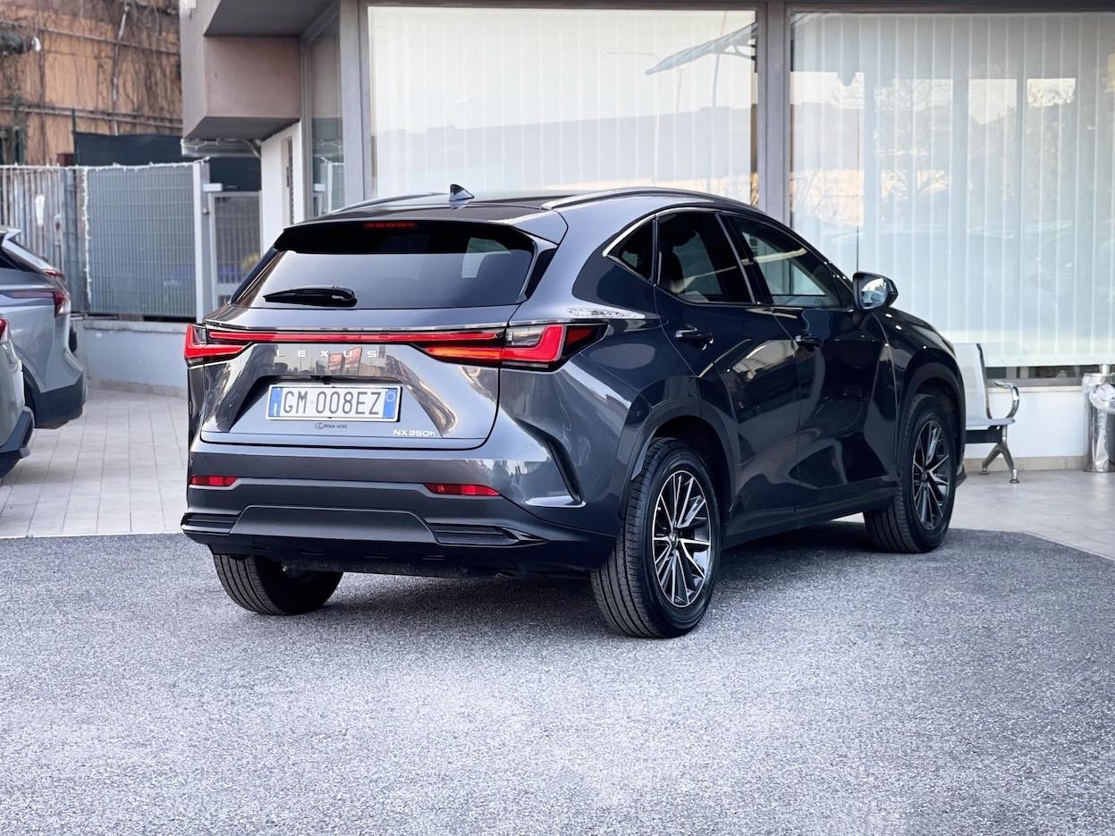 Lexus NX 350 2.5 Hybrid 190CV 4WD E6 Automatica - 2022