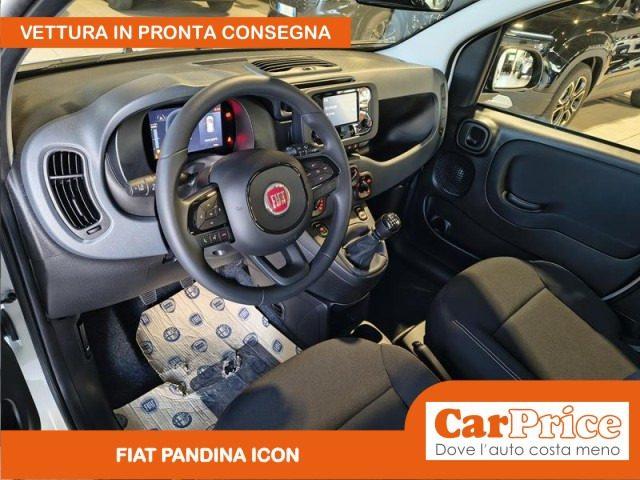 FIAT Pandina 1.0 FireFly 65CV Hybrid Icon (5 Posti)