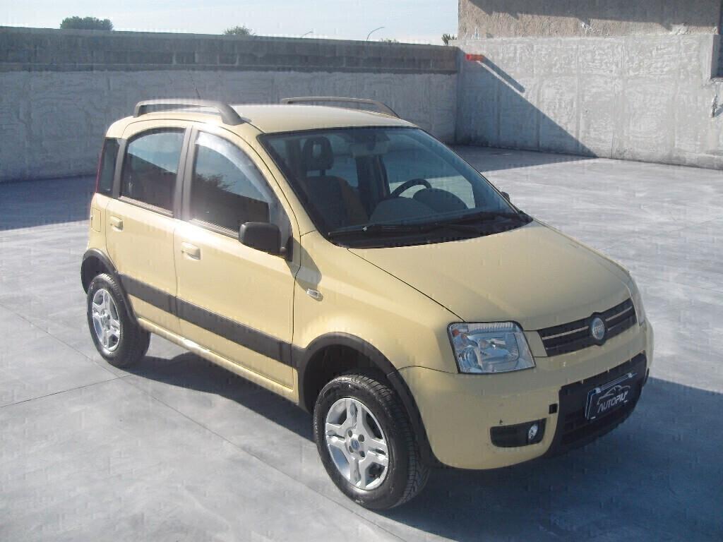Fiat Panda 1.3 MJT 16V 4x4 Climbing - 2006