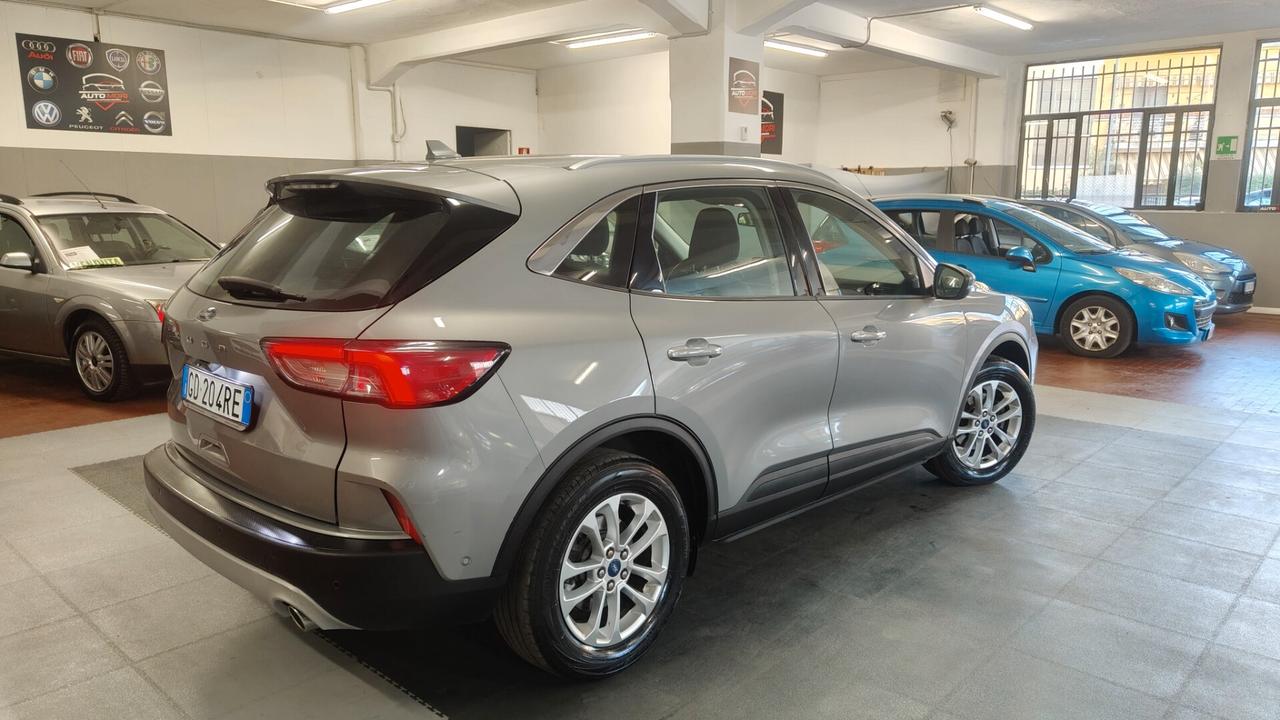Ford Kuga 1.5 EcoBlue 120 CV aut. 2WD Titanium Business