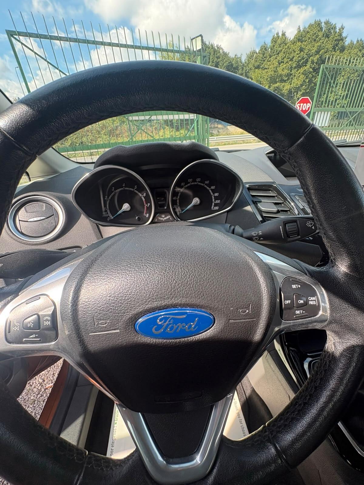 Ford Fiesta 1.0 EcoBoost 100CV 5 porte Powershift Titanium