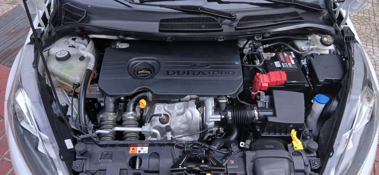 FORD FIESTA 1.5 TDCi 75CV 5 porte