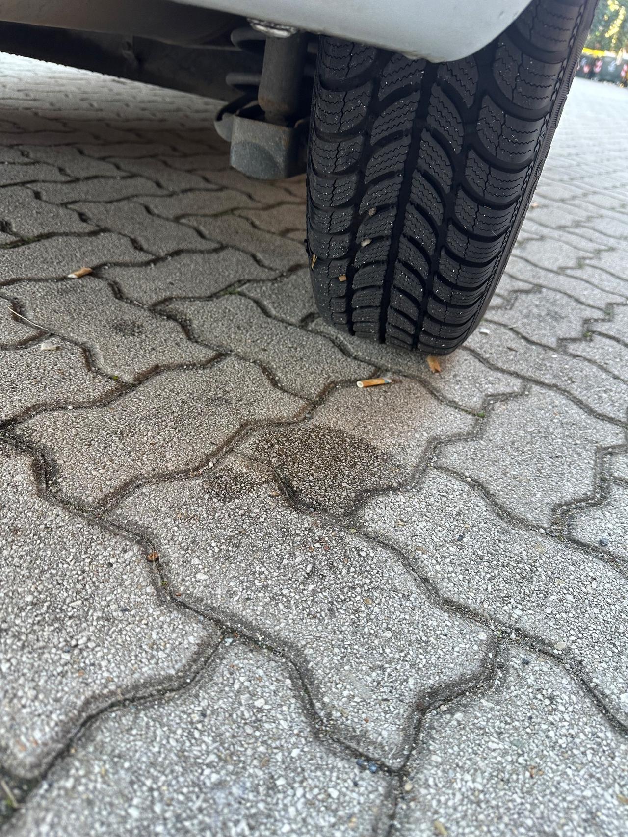 Hyundai Getz 1.1 12V (66CV) 5p. Spec. Pack. Like