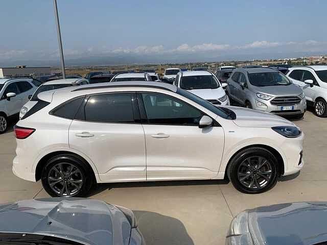 Ford Kuga 2.0 EcoBlue 190 CV aut. AWD ST-Line X