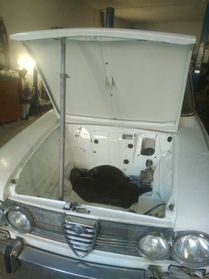 Alfa Romeo Giulia 1600 BISCIONE (LEGGERE DESCRIZIONE PRIMA DI CHIAMARE)
